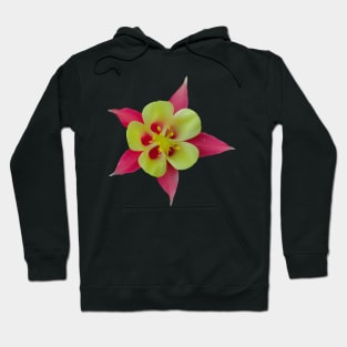 Vibrant Colorado Red and Yellow Columbine Flower Hoodie